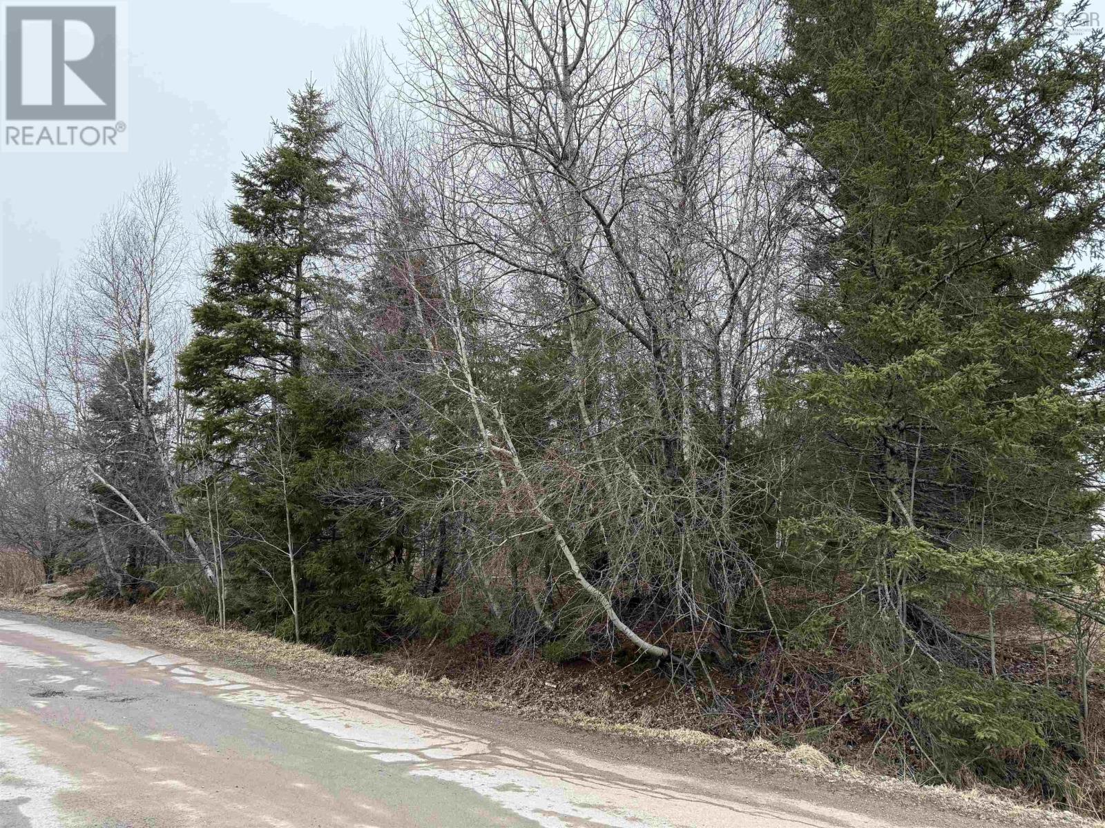 - Finlay Dan Road, Thorburn, Nova Scotia  B0K 1W0 - Photo 1 - 202505853