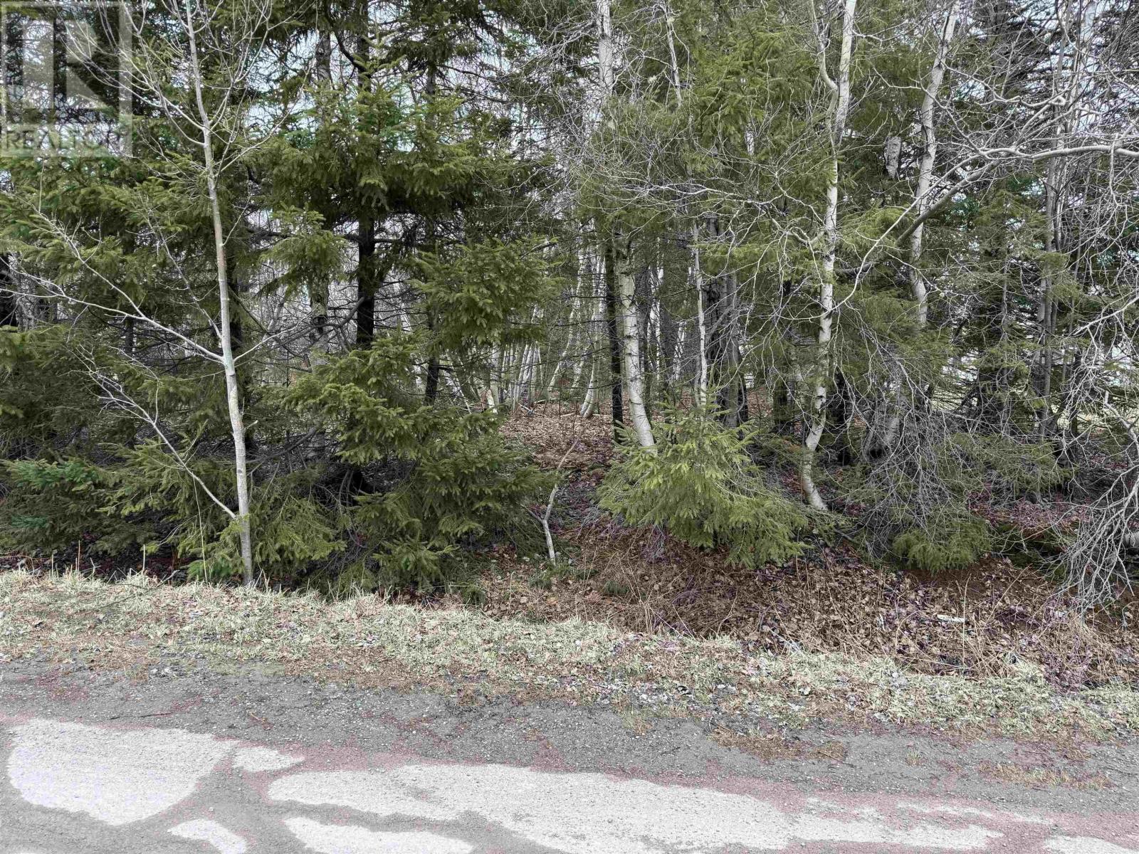 - Finlay Dan Road, Thorburn, Nova Scotia  B0K 1W0 - Photo 2 - 202505853