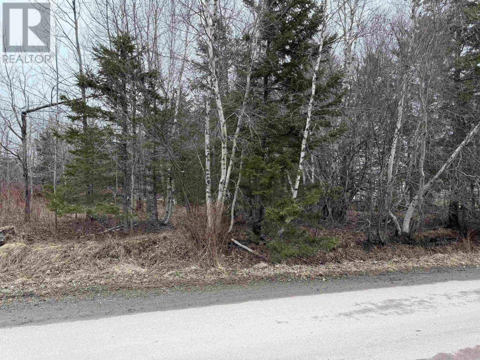 - Finlay Dan Road, Thorburn, Nova Scotia  B0K 1W0 - Photo 3 - 202505853
