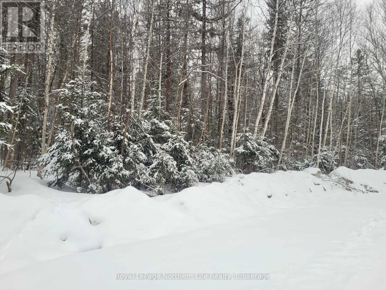 Lot 5 Arbutus Trail, Mattawan, Ontario  P0H 1V0 - Photo 1 - X12042458