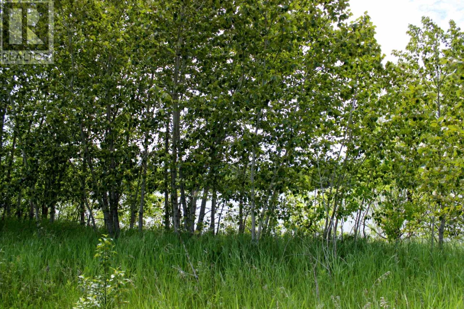 Pt Lot 9 Atwood 2 Rd, Rainy River, Ontario  P0W 1L0 - Photo 2 - TB241995
