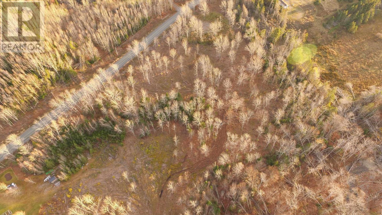 Brookland Road, Brookland, Nova Scotia  B0K 1P0 - Photo 10 - 202505864