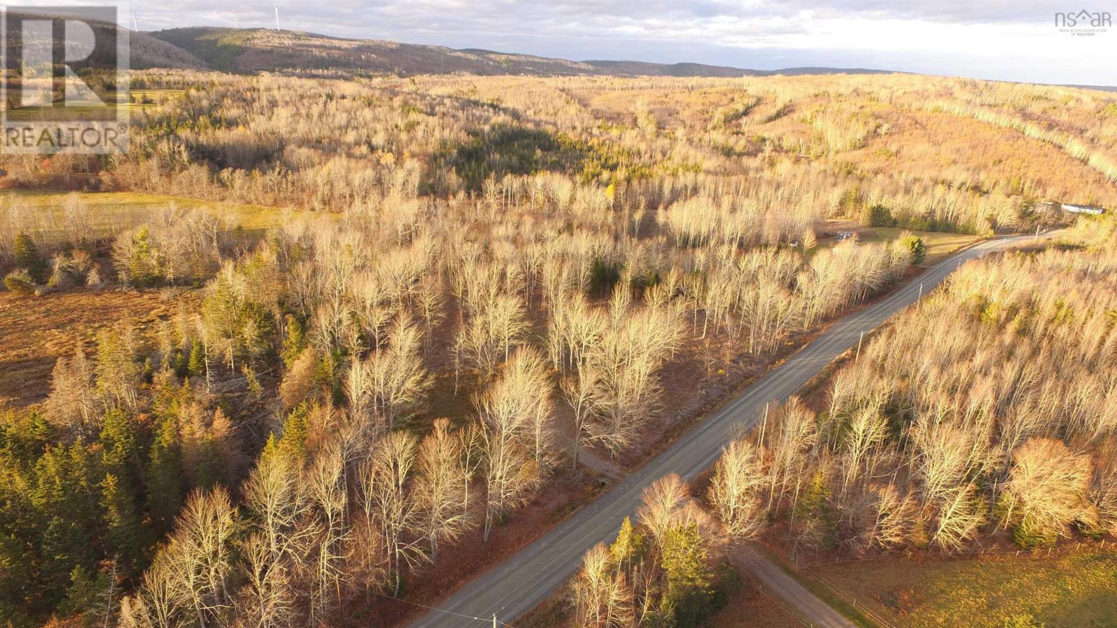 Brookland Road, Brookland, Nova Scotia  B0K 1P0 - Photo 4 - 202505864