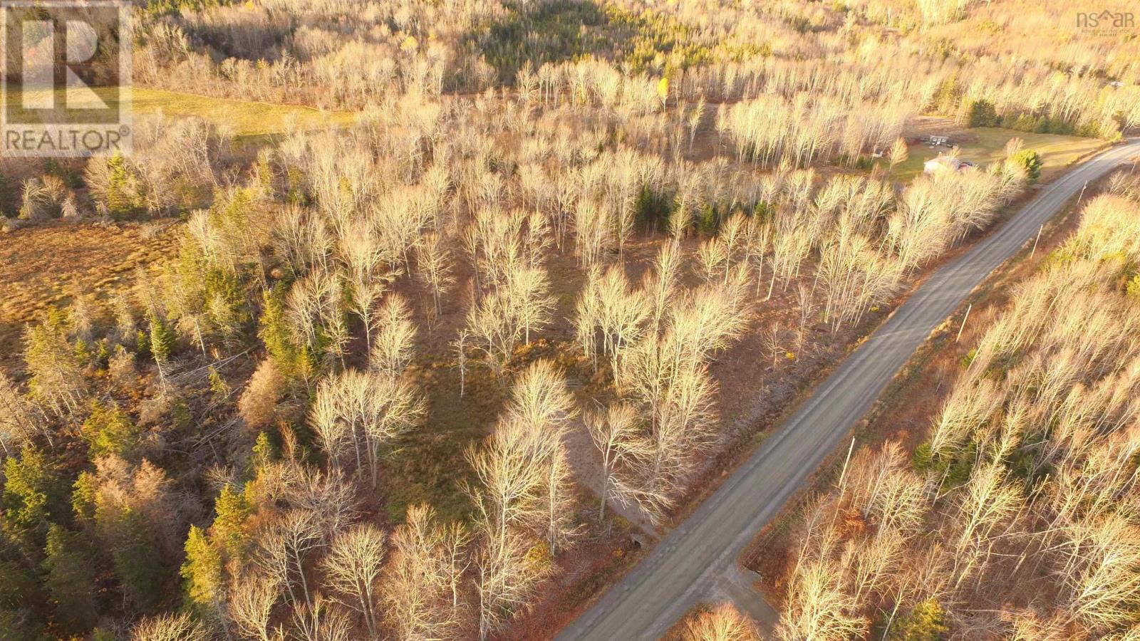 Brookland Road, Brookland, Nova Scotia  B0K 1P0 - Photo 5 - 202505864