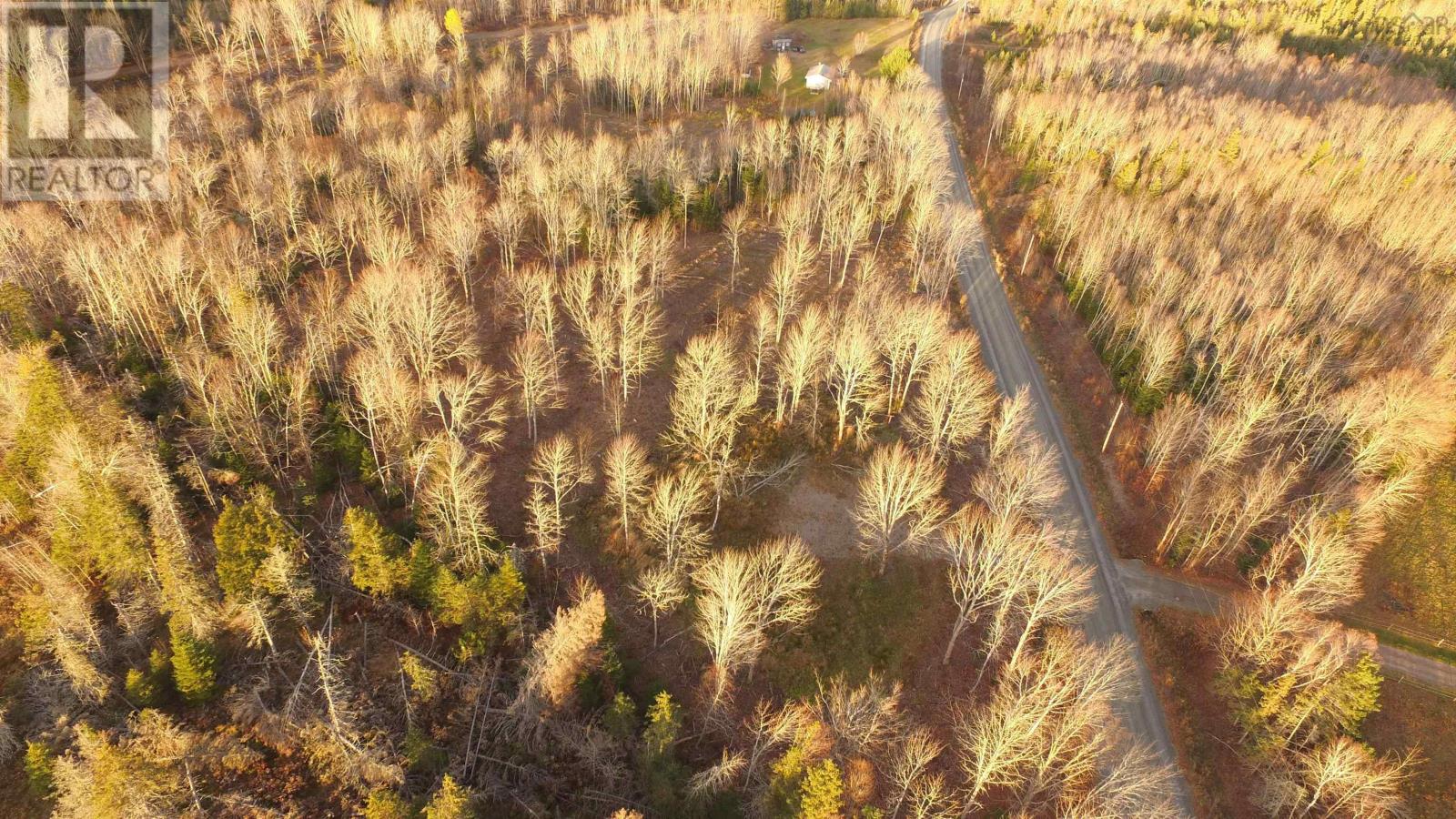 Brookland Road, Brookland, Nova Scotia  B0K 1P0 - Photo 6 - 202505864