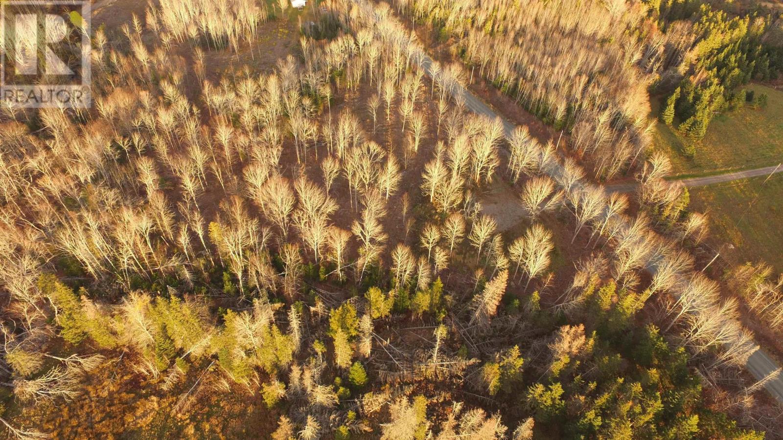 Brookland Road, Brookland, Nova Scotia  B0K 1P0 - Photo 7 - 202505864