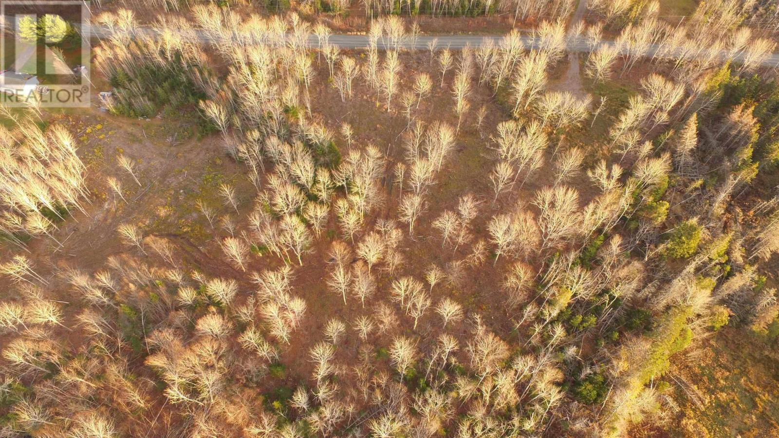 Brookland Road, Brookland, Nova Scotia  B0K 1P0 - Photo 9 - 202505864