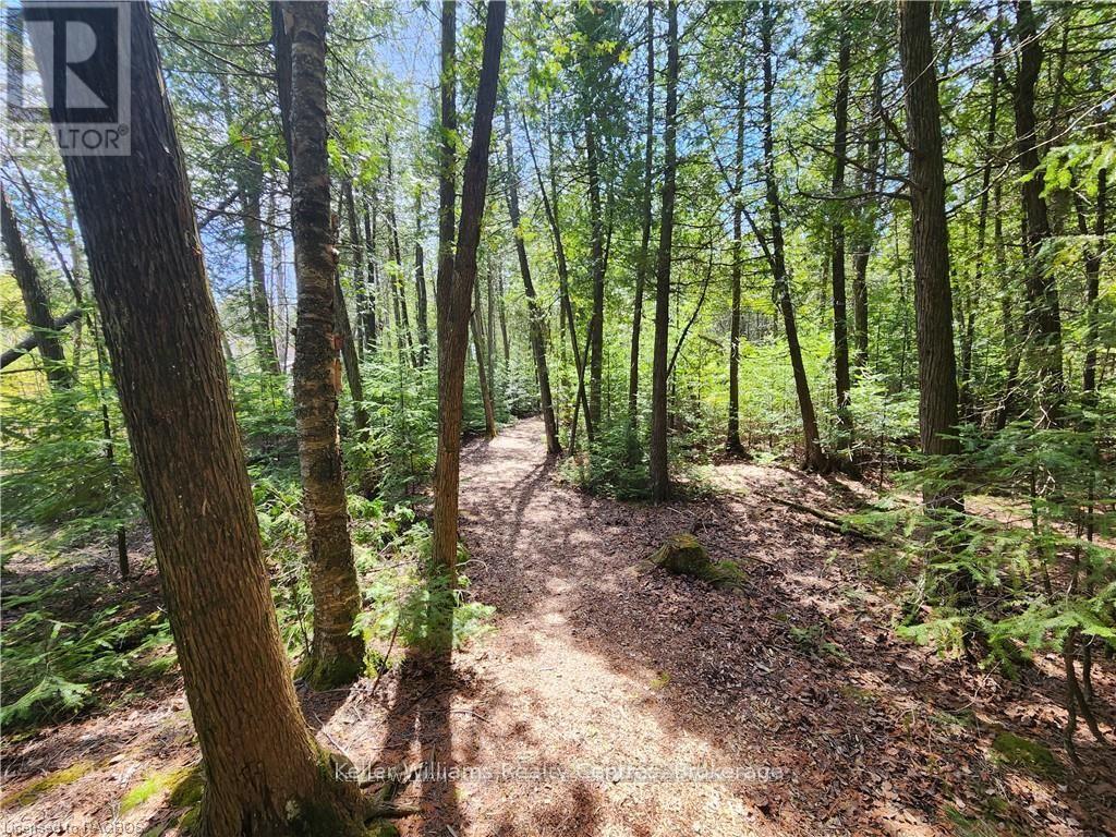 Lot 13 Trillium Crossing, Northern Bruce Peninsula, Ontario  N0H 1W0 - Photo 14 - X11909664