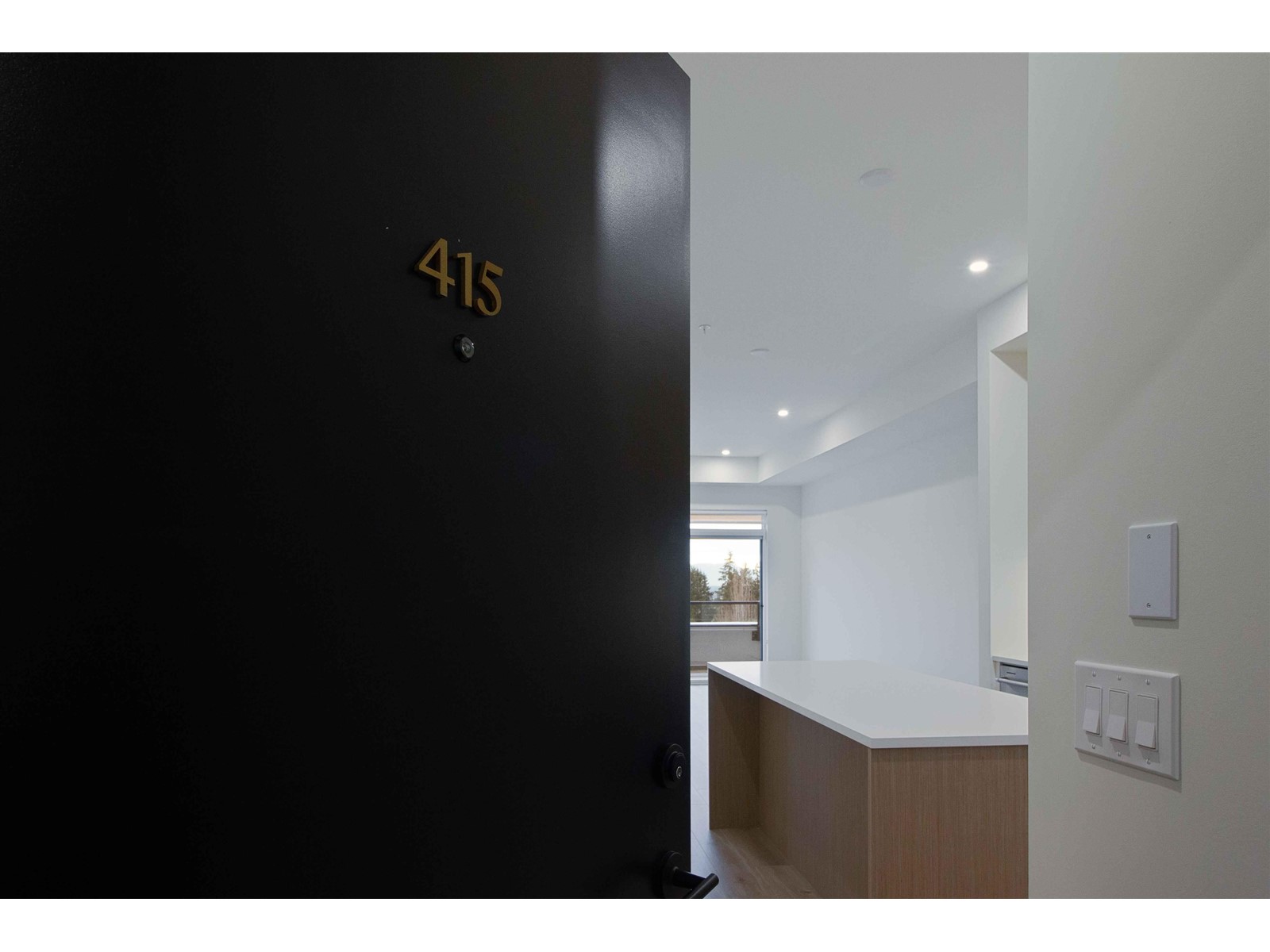 415 2620 152 Street, Surrey, British Columbia  V4P 0H8 - Photo 19 - R2982026