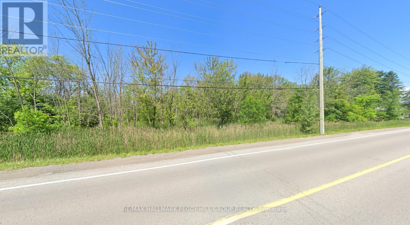 Ptlt 10 Kennedy Road, Georgina, Ontario  L0E 1S0 - Photo 4 - N12042790
