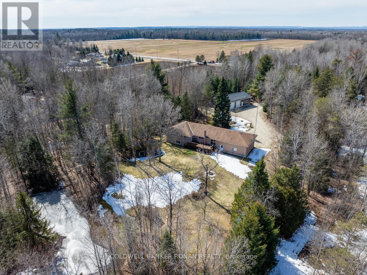 7753 County Road 56, Essa, Ontario  L0M 1T0 - Photo 4 - N12042810