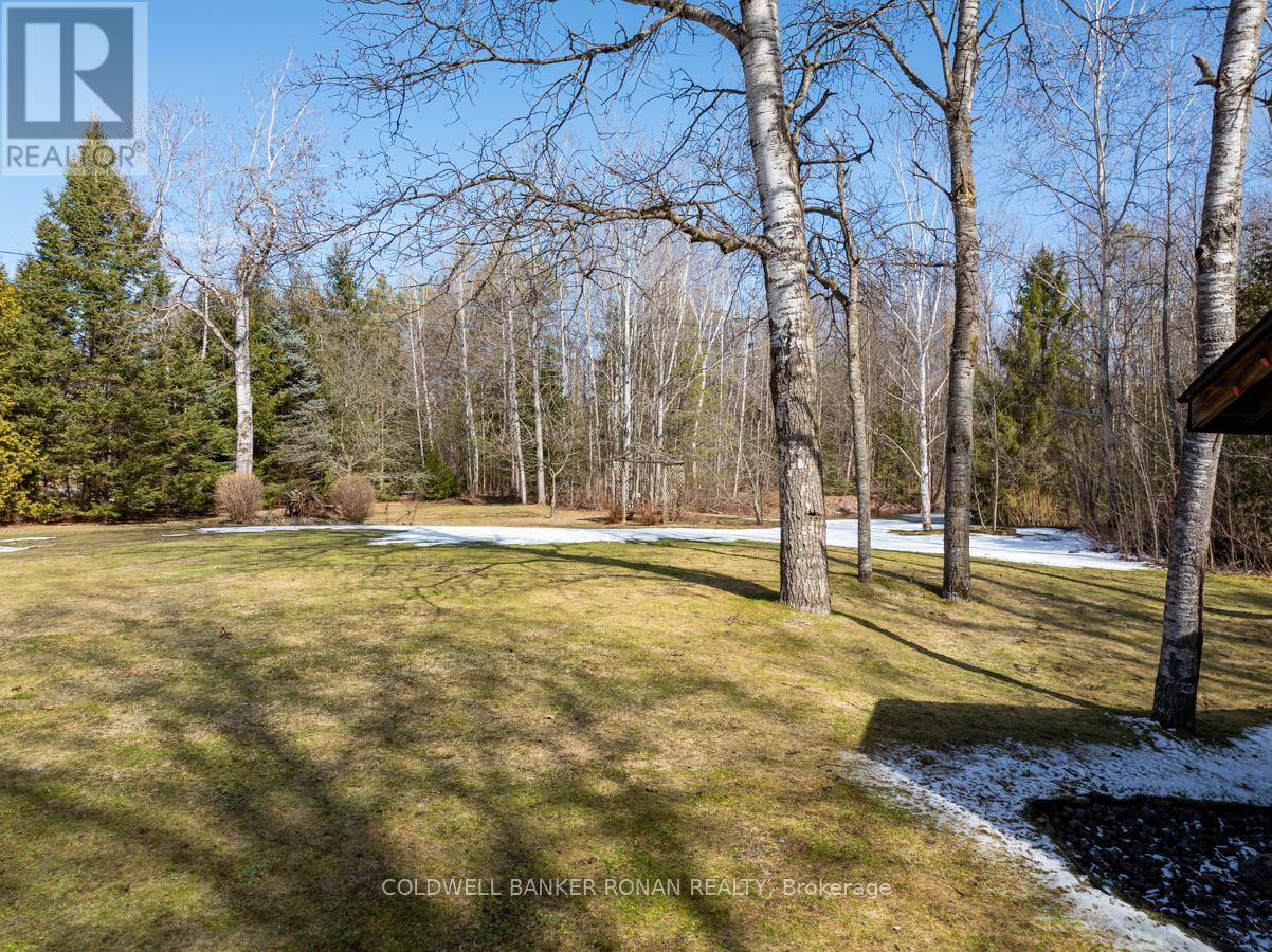7753 County Road 56, Essa, Ontario  L0M 1T0 - Photo 47 - N12042810