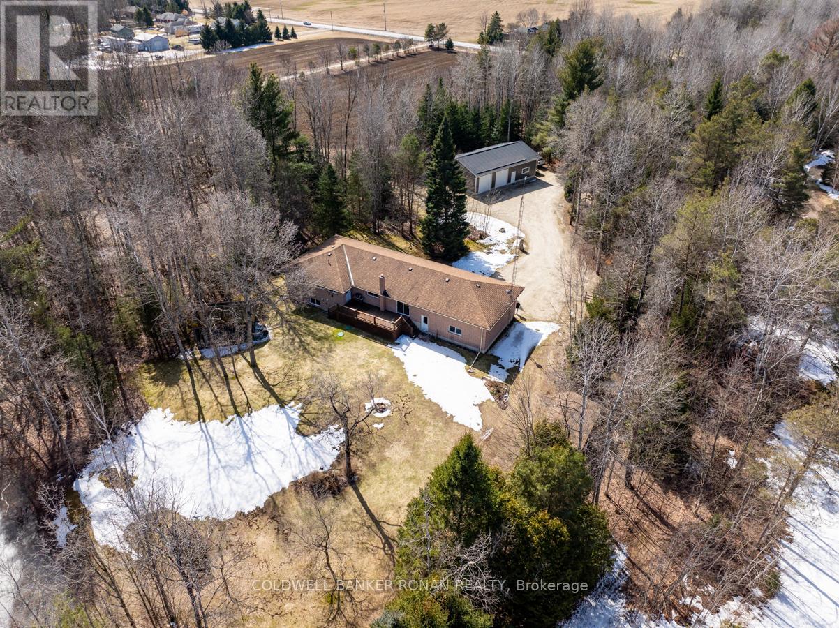 7753 County Road 56, Essa, Ontario  L0M 1T0 - Photo 49 - N12042810