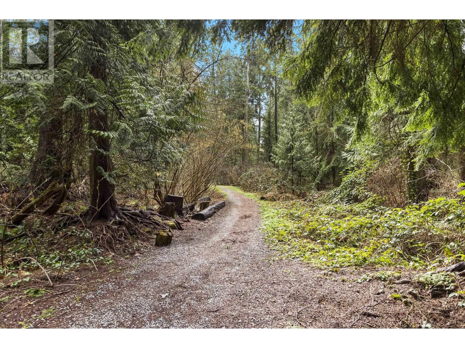 2620 Coast Meridian Road, Port Coquitlam, British Columbia  V3B 3M3 - Photo 38 - R2976692