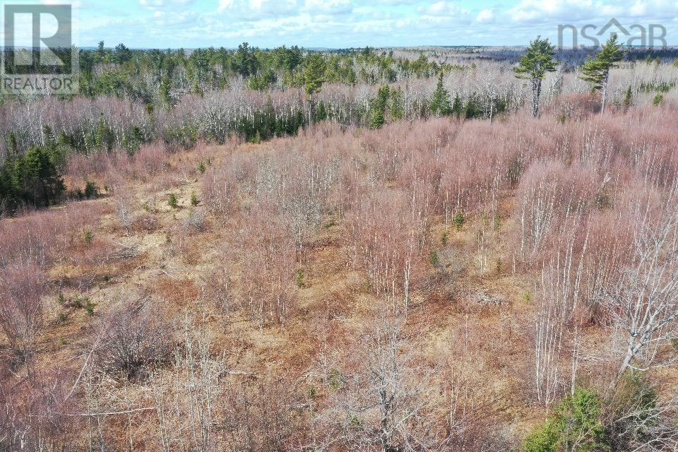 Lot 6 No 368 Highway Fountain Road, Wallace Bay, Nova Scotia  B0K 1Y0 - Photo 4 - 202505317