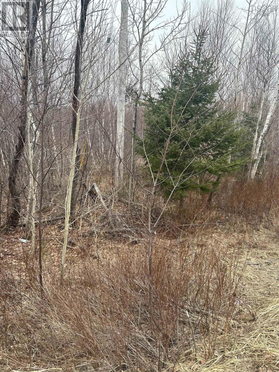 Lot 6 No 368 Highway Fountain Road, Wallace Bay, Nova Scotia  B0K 1Y0 - Photo 5 - 202505317