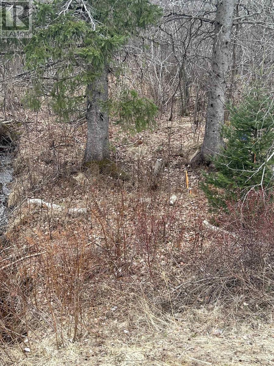 Lot 6 No 368 Highway Fountain Road, Wallace Bay, Nova Scotia  B0K 1Y0 - Photo 6 - 202505317