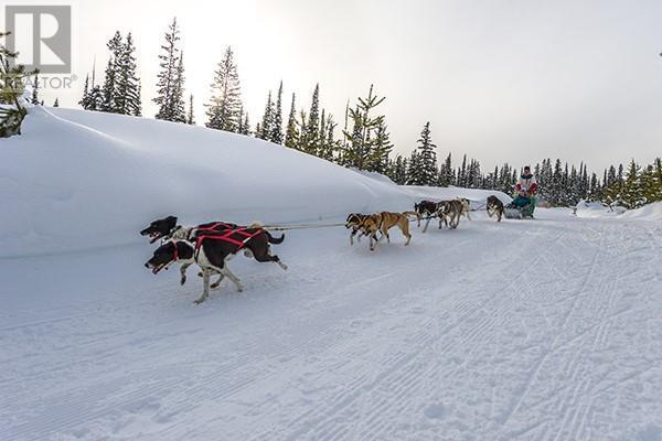 Lot 3 Black Forest Road Lot# 3, Big White, British Columbia  V1P 1P3 - Photo 6 - 10340192