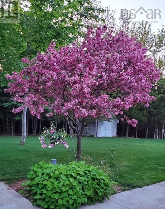 8 Cumberland Way, Windsor Junction, Nova Scotia  B2T 1H4 - Photo 48 - 202505874
