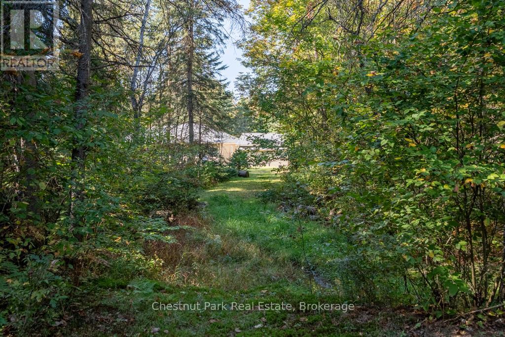 2253 Lone Pine Drive, Huntsville, Ontario  P0B 1L0 - Photo 32 - X12043072
