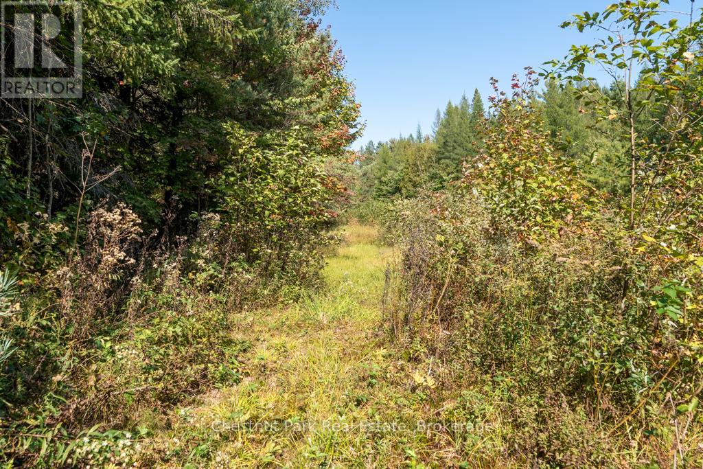 2253 Lone Pine Drive, Huntsville, Ontario  P0B 1L0 - Photo 33 - X12043072