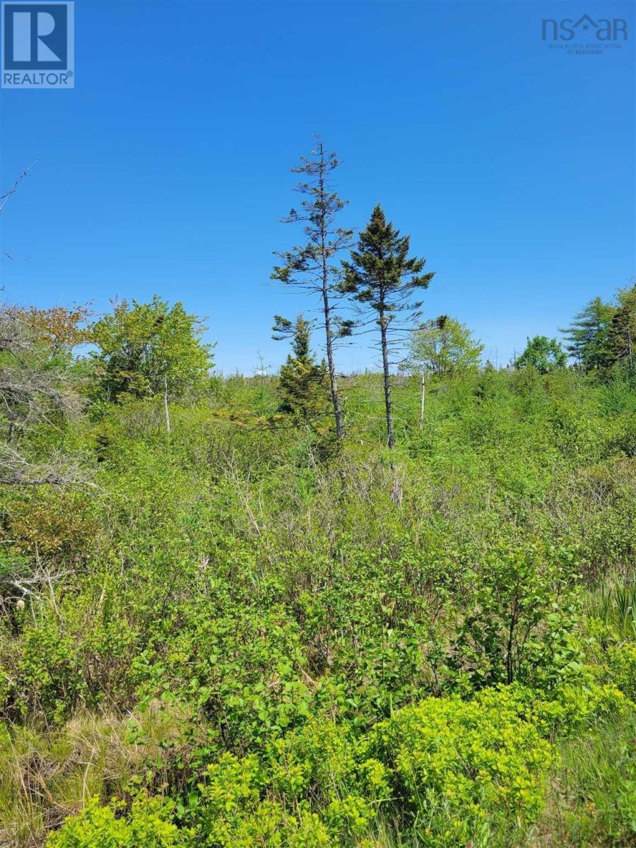 No 207 Highway Seaforth, Seaforth, Nova Scotia  B0J 2L0 - Photo 2 - 202505886