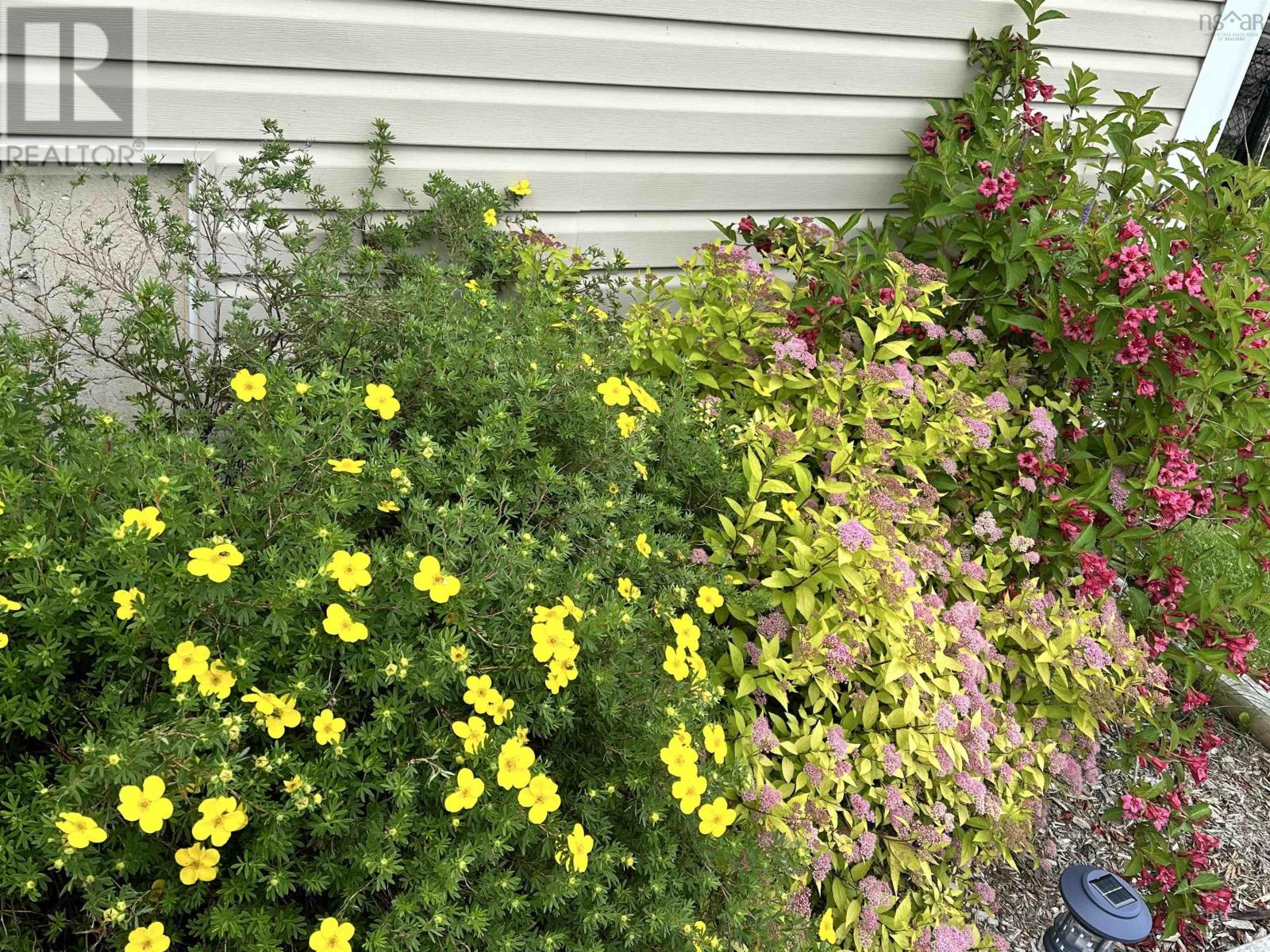 81 Darlington Drive, Middle Sackville, Nova Scotia  B4E 3A7 - Photo 50 - 202505876