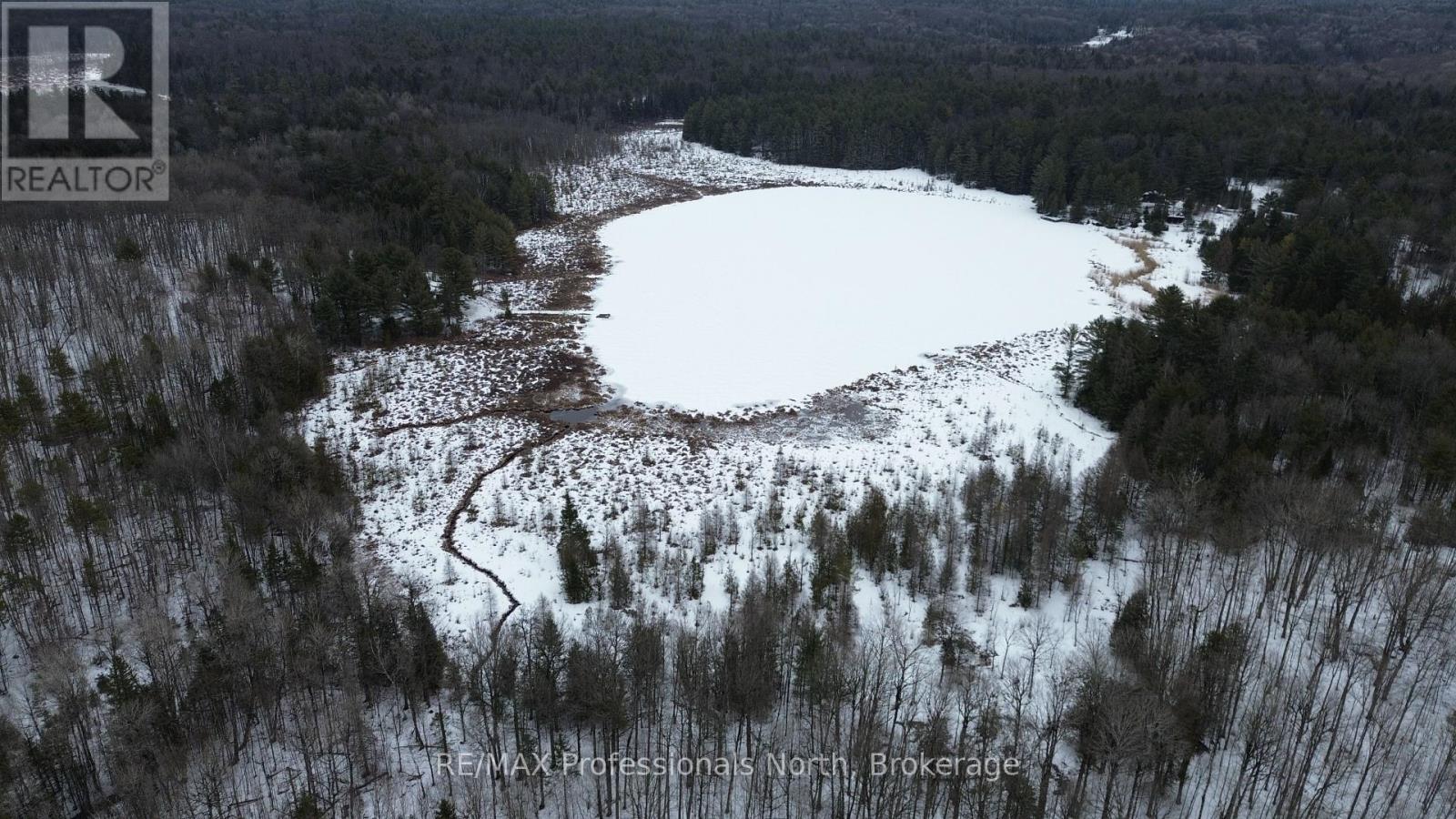 1197 Swinson Road, Minden Hills, Ontario  K0M 2K0 - Photo 25 - X12043183
