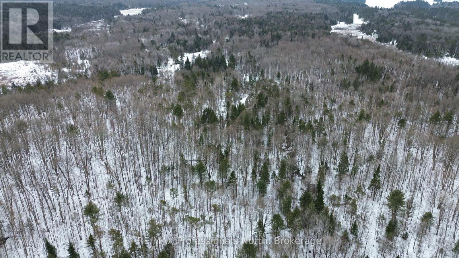 1197 Swinson Road, Minden Hills, Ontario  K0M 2K0 - Photo 26 - X12043183