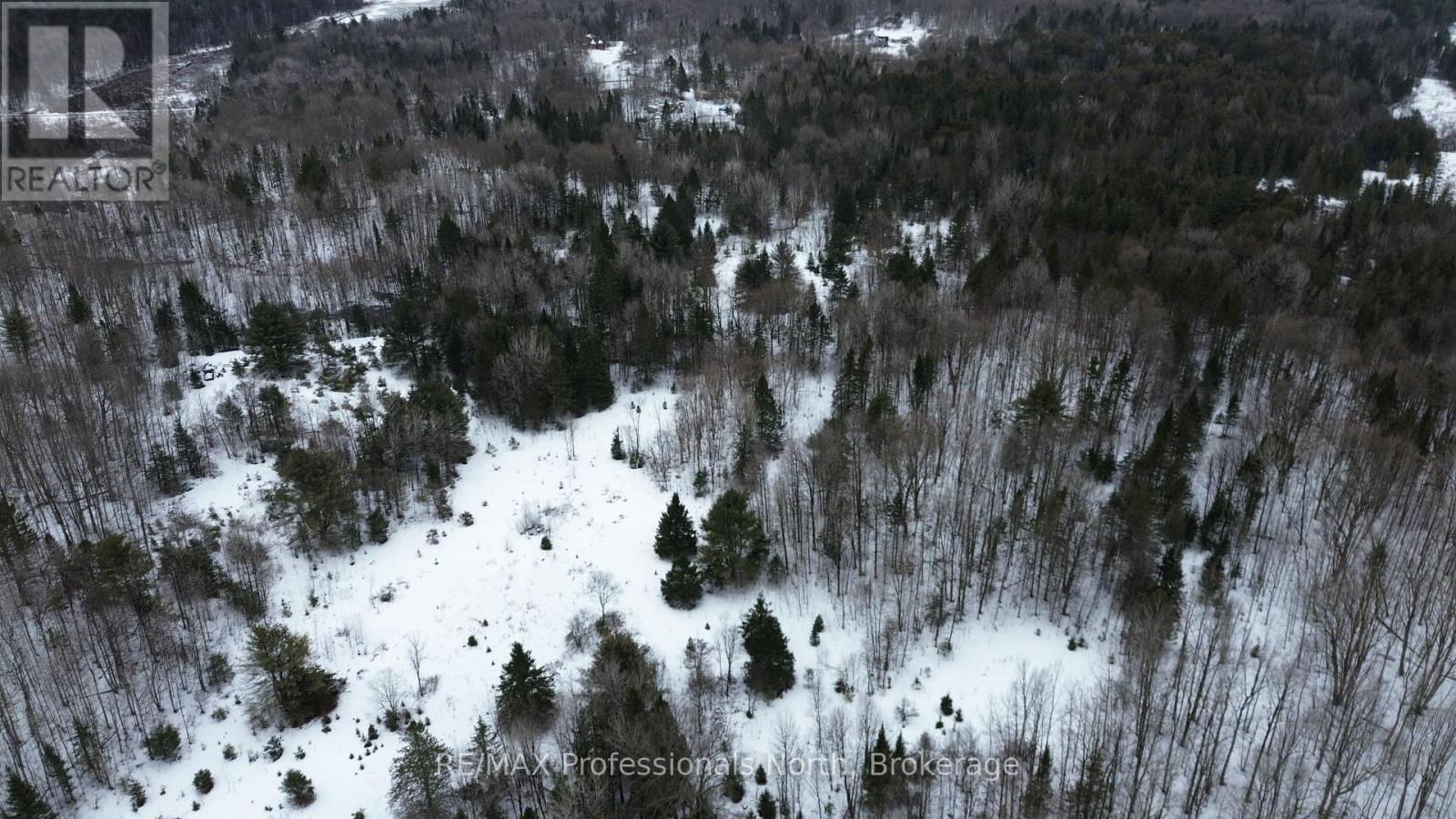 1197 Swinson Road, Minden Hills, Ontario  K0M 2K0 - Photo 28 - X12043183