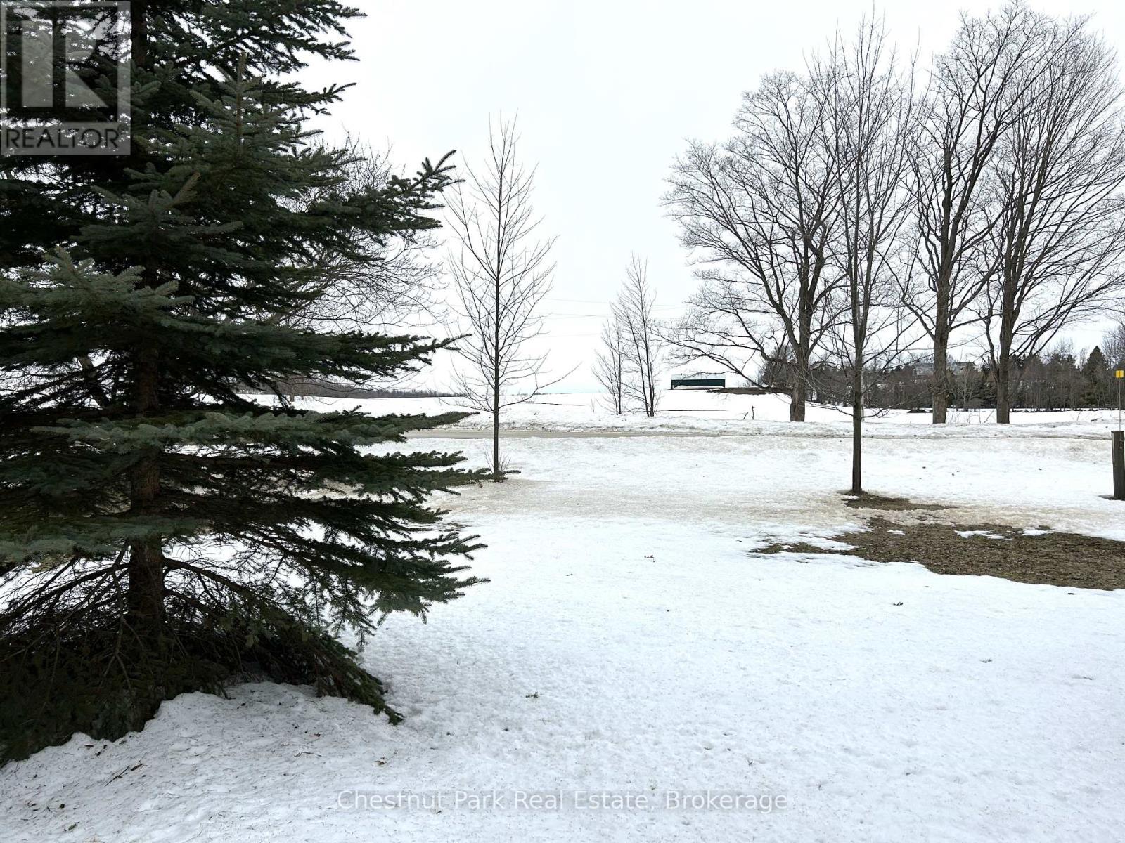137269 Grey Road 12, Meaford, Ontario  N4L 1W6 - Photo 41 - X12043267