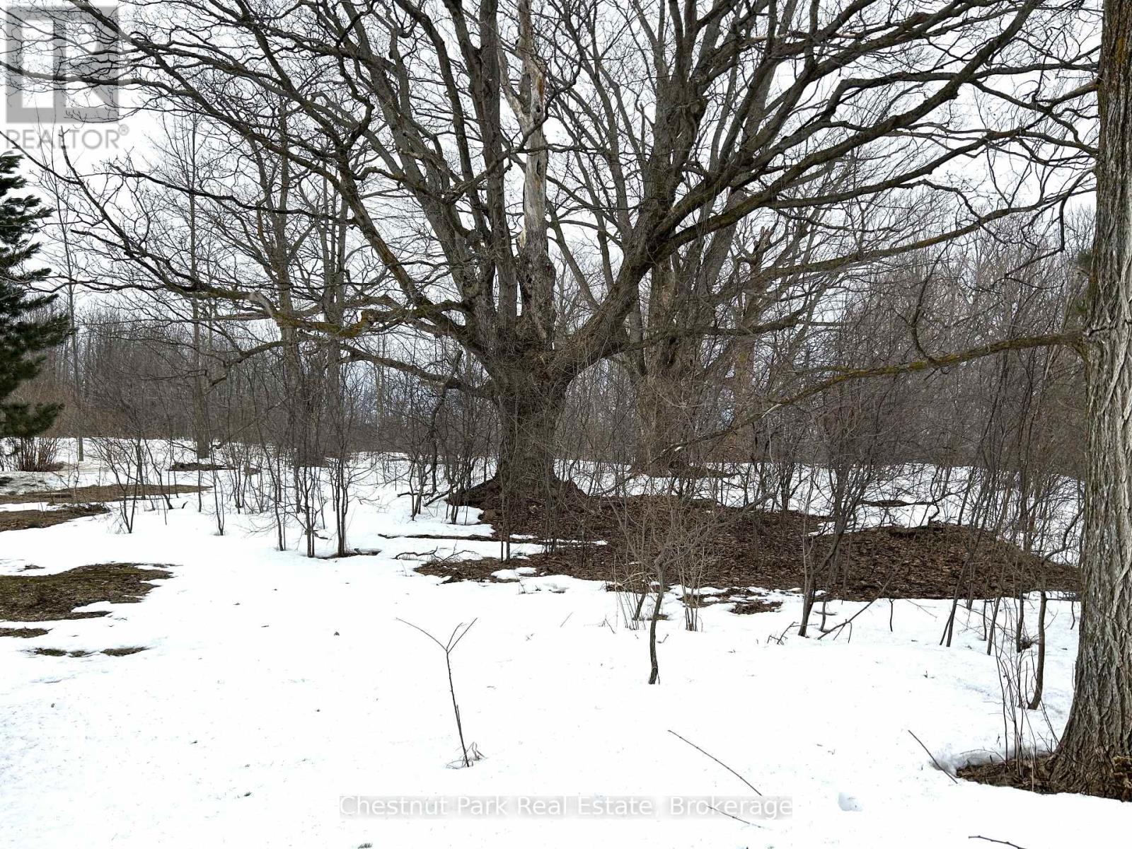 137269 Grey Road 12, Meaford, Ontario  N4L 1W6 - Photo 42 - X12043267