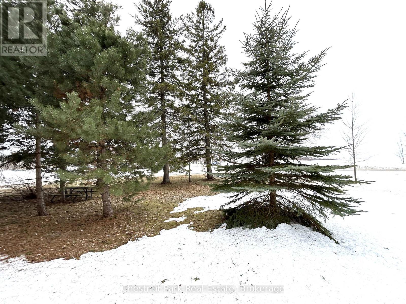 137269 Grey Road 12, Meaford, Ontario  N4L 1W6 - Photo 46 - X12043267