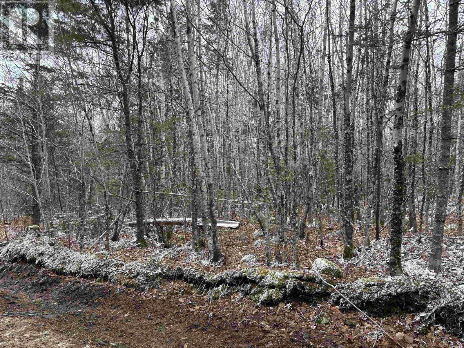 Lot Pid 05046693 Victory Road, Victory, Nova Scotia  B0S 1A0 - Photo 17 - 202505901