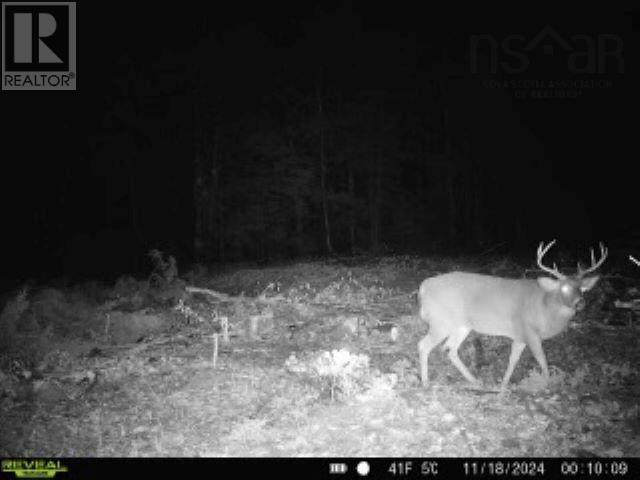 Lot Pid 05046693 Victory Road, Victory, Nova Scotia  B0S 1A0 - Photo 20 - 202505901