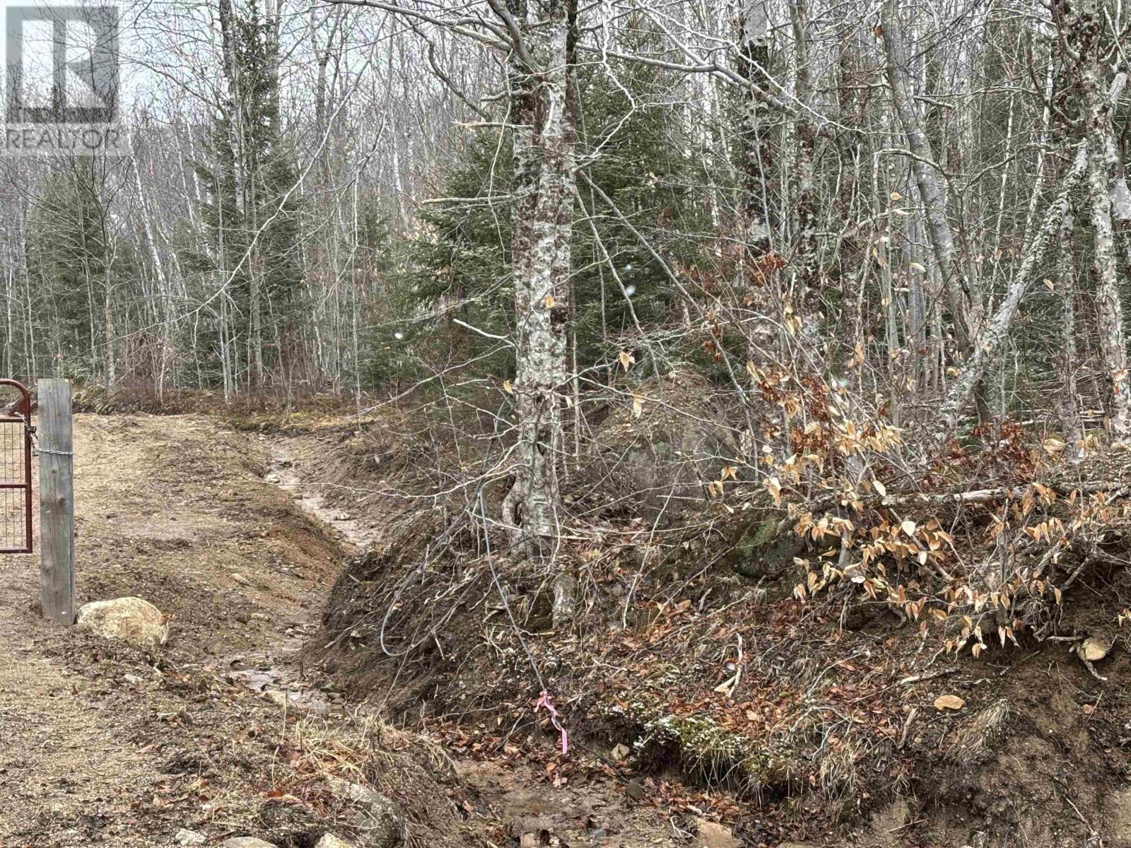 Lot Pid 05046693 Victory Road, Victory, Nova Scotia  B0S 1A0 - Photo 4 - 202505901