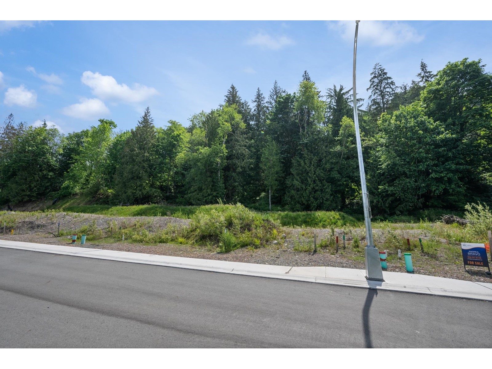 8138 Highsprings Place, Eastern Hillsides, Chilliwack, British Columbia  V5V 5V5 - Photo 24 - R2982214