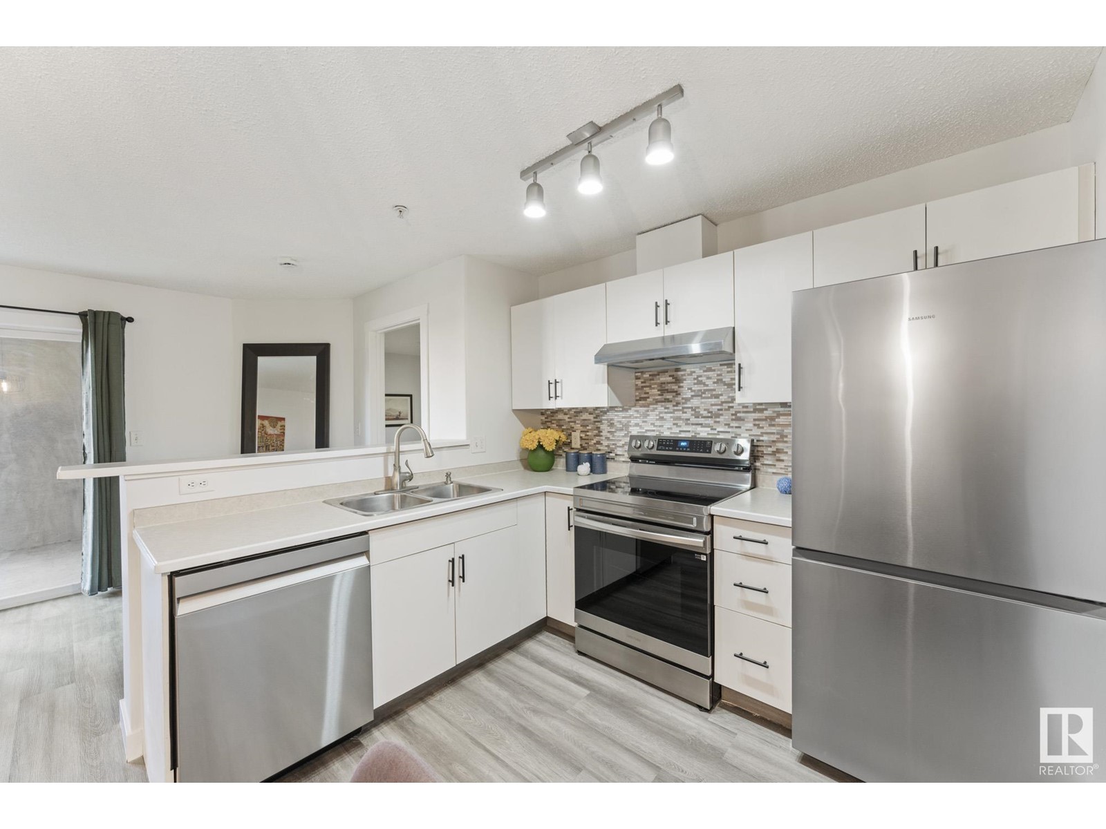 Property at #106 14708 50 ST NW image 3