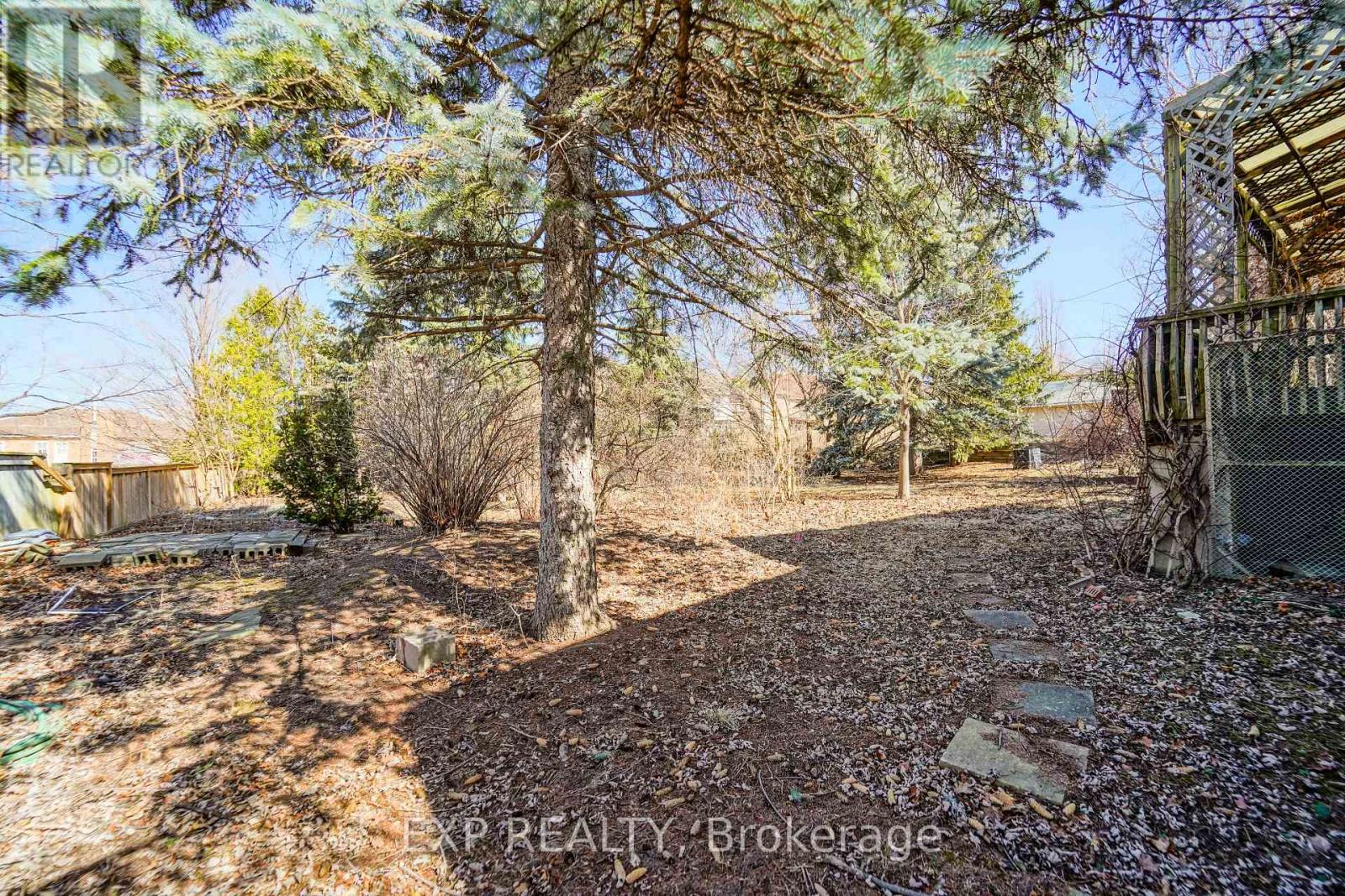 142 Hillsview Drive, Richmond Hill, Ontario  L4C 1T2 - Photo 46 - N12043702