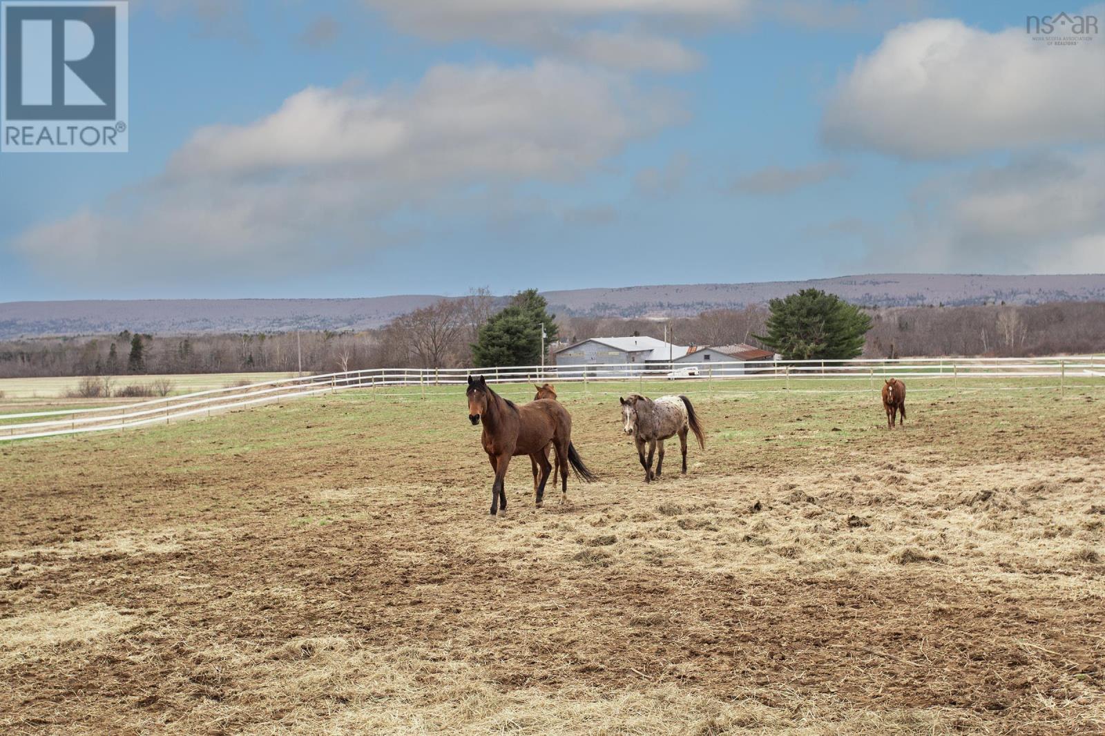 5995 Highway 201, Paradise, Nova Scotia  B0S 1M0 - Photo 8 - 202505923