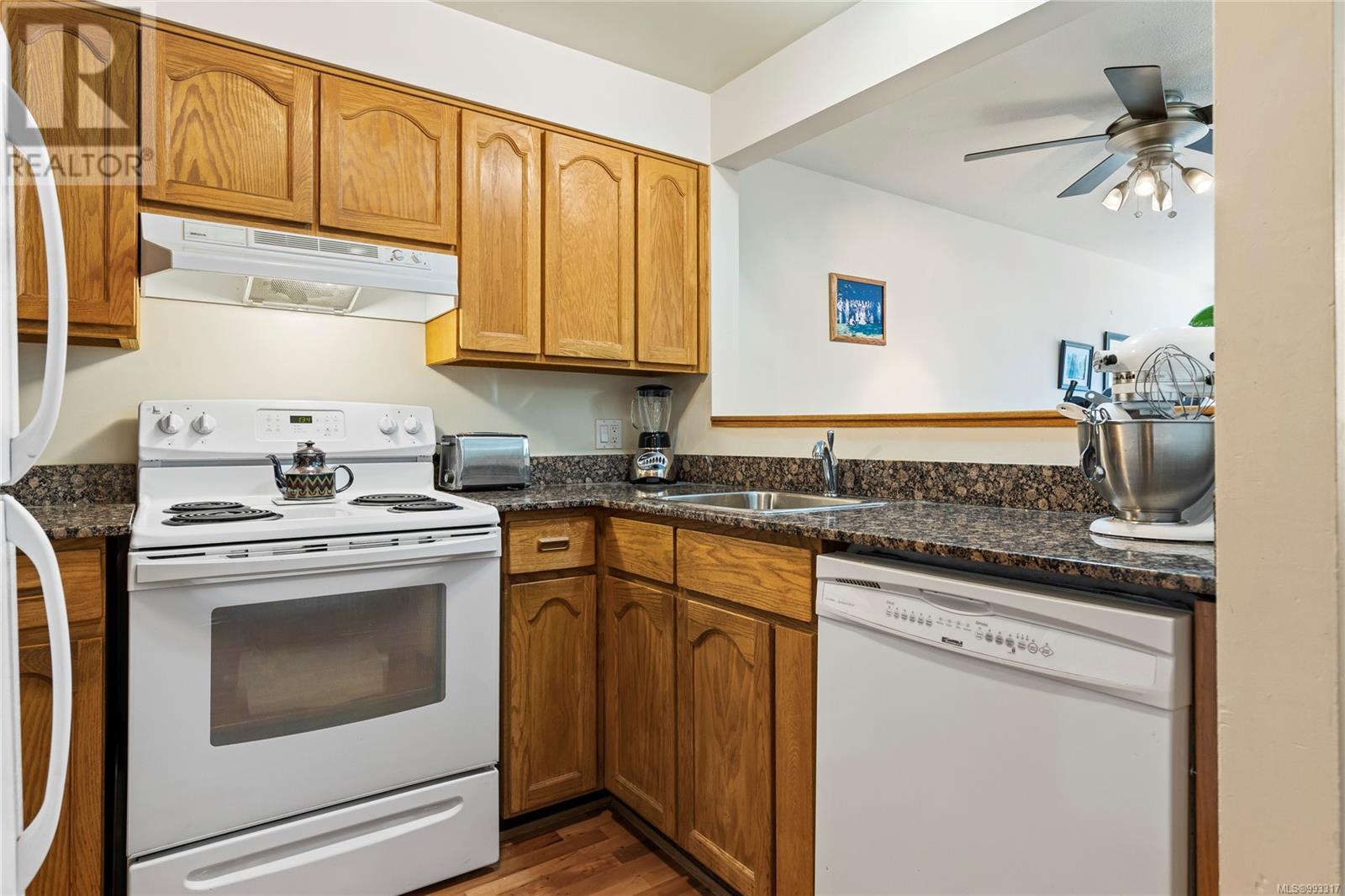 Property at 412 30 Cavan St image 5
