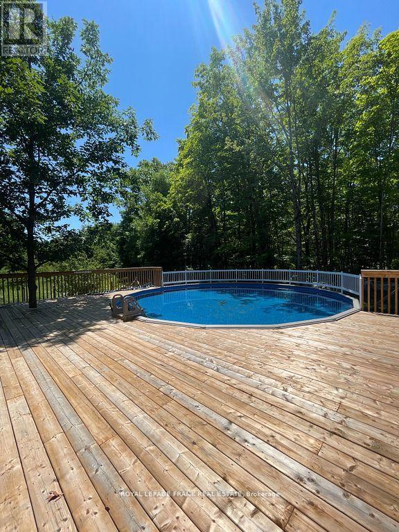353 Jarvis Road, Madoc, Ontario  K0K 2K0 - Photo 25 - X12044561