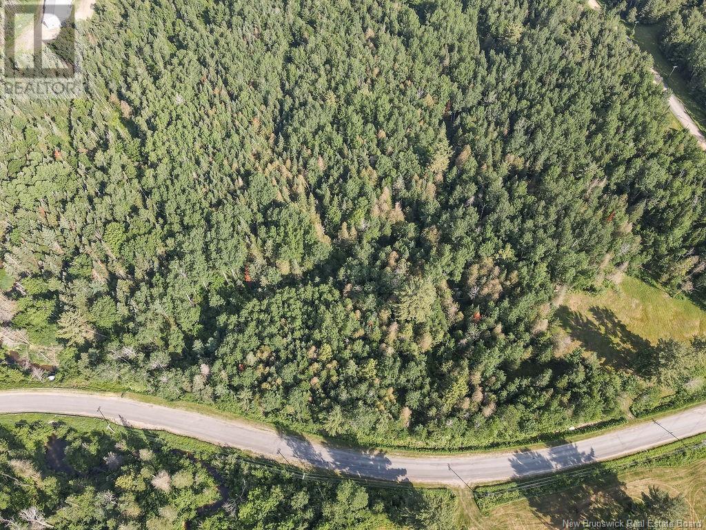 Lot 1 Sisson Settlement Road, Burtts Corner, New Brunswick
