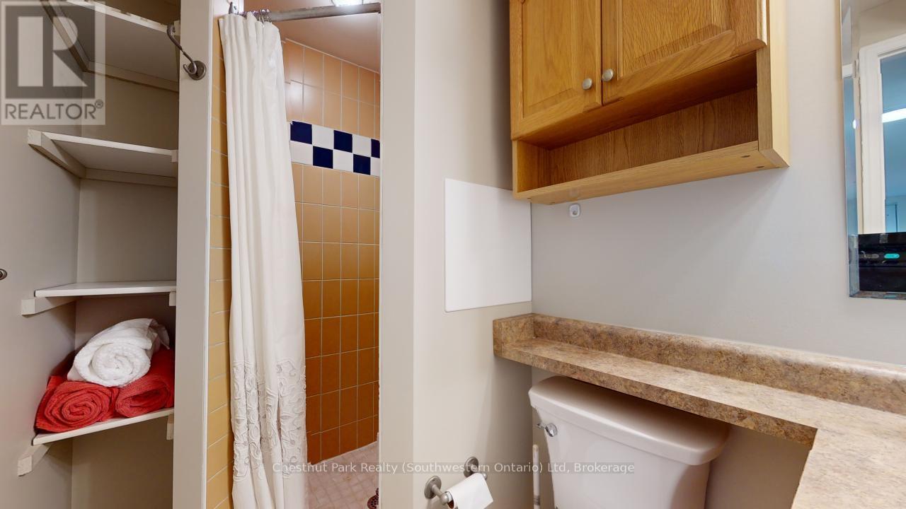 Lower - 22 Moss Place, Guelph, Ontario  N1G 4V1 - Photo 15 - X12044970