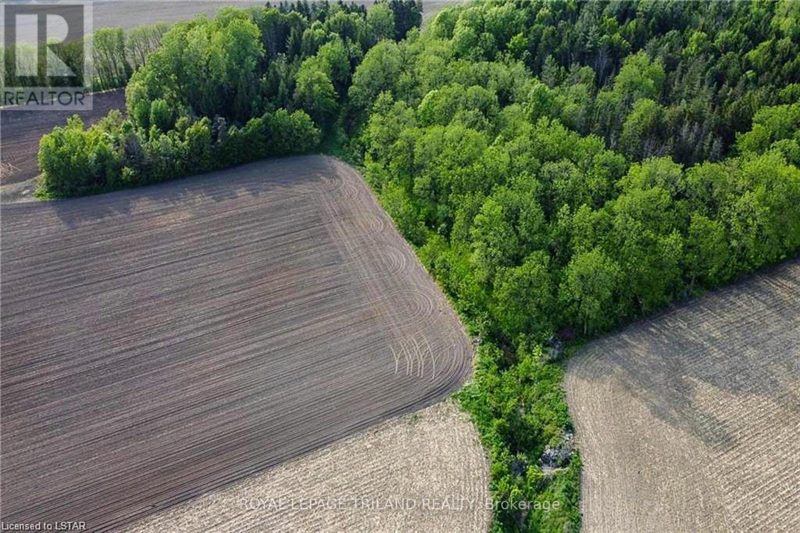 27796 Nairn Road, North Middlesex, Ontario  N0M 2K0 - Photo 10 - X12045148