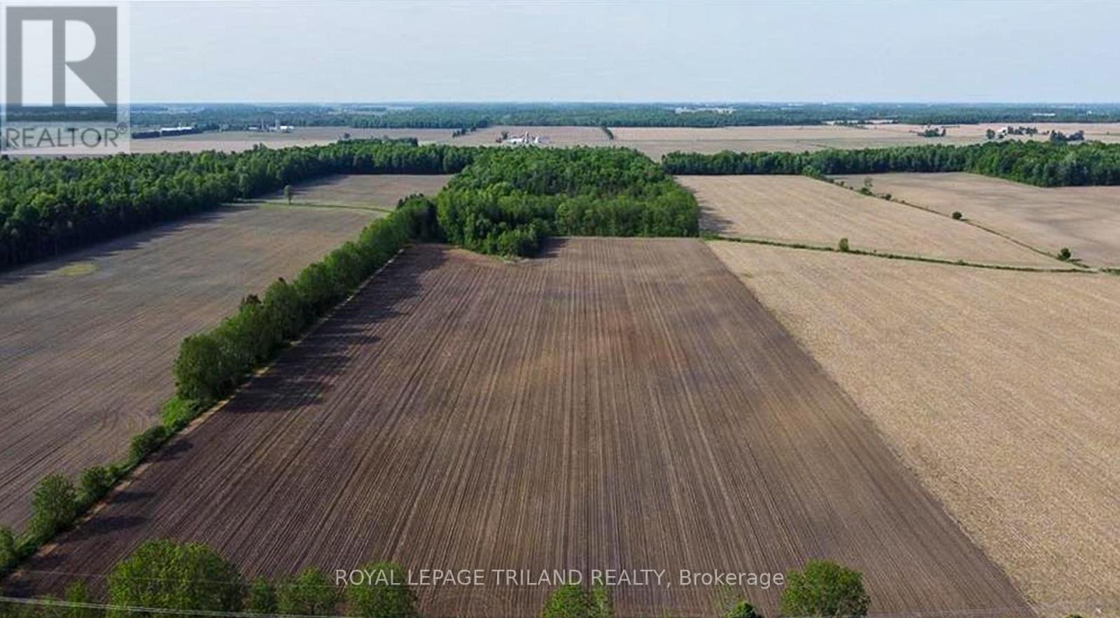 27796 Nairn Road, North Middlesex, Ontario  N0M 2K0 - Photo 5 - X12045148