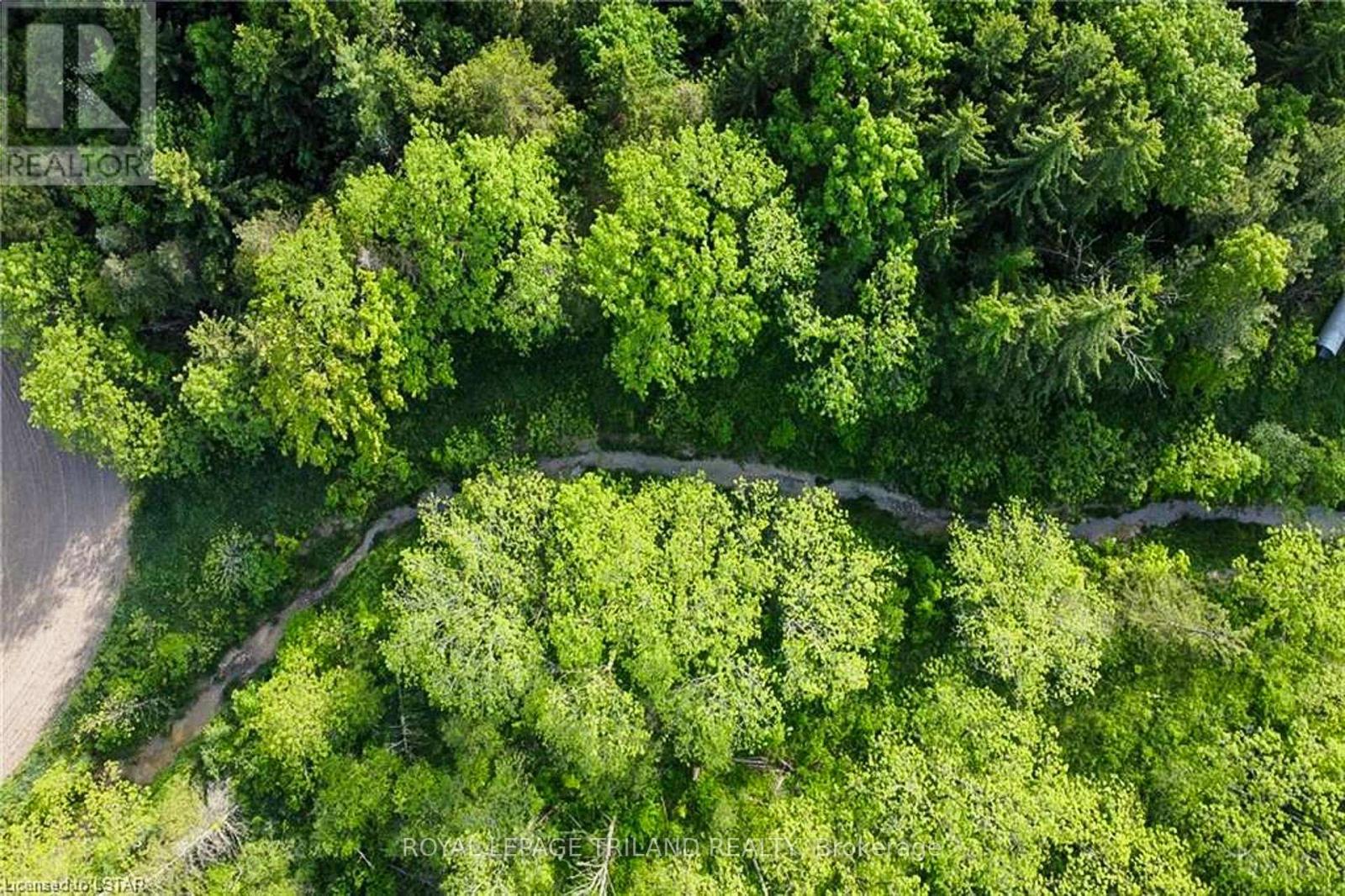 27796 Nairn Road, North Middlesex, Ontario  N0M 2K0 - Photo 8 - X12045148