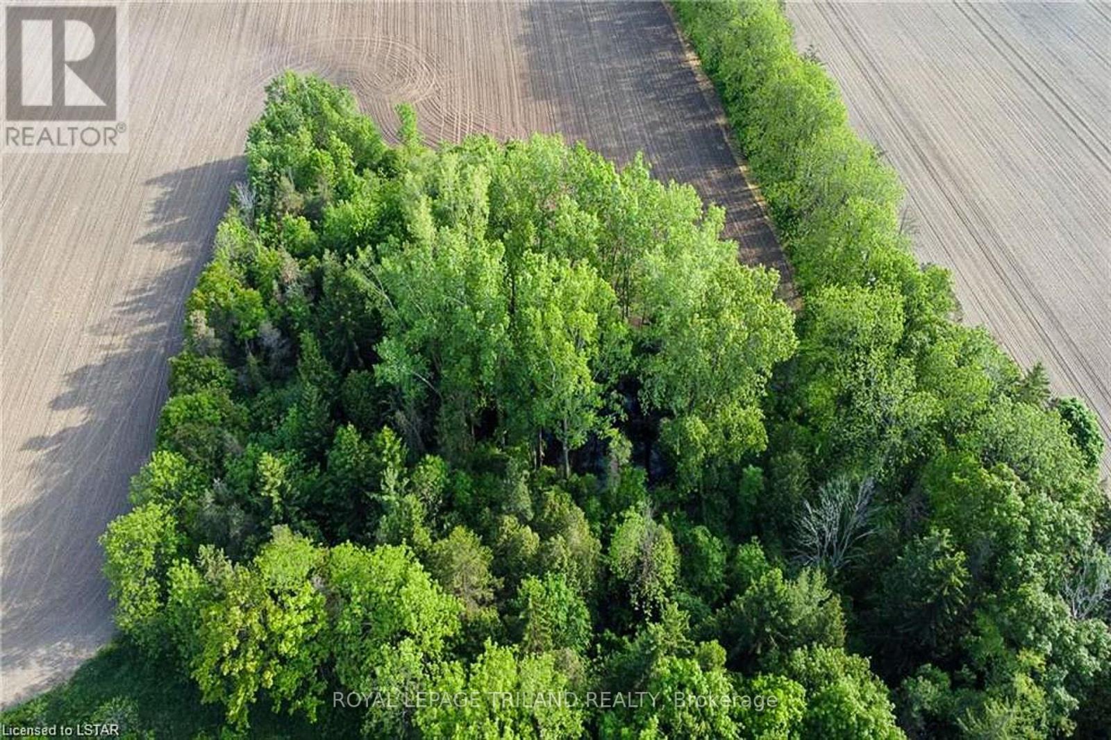 27796 Nairn Road, North Middlesex, Ontario  N0M 2K0 - Photo 9 - X12045148