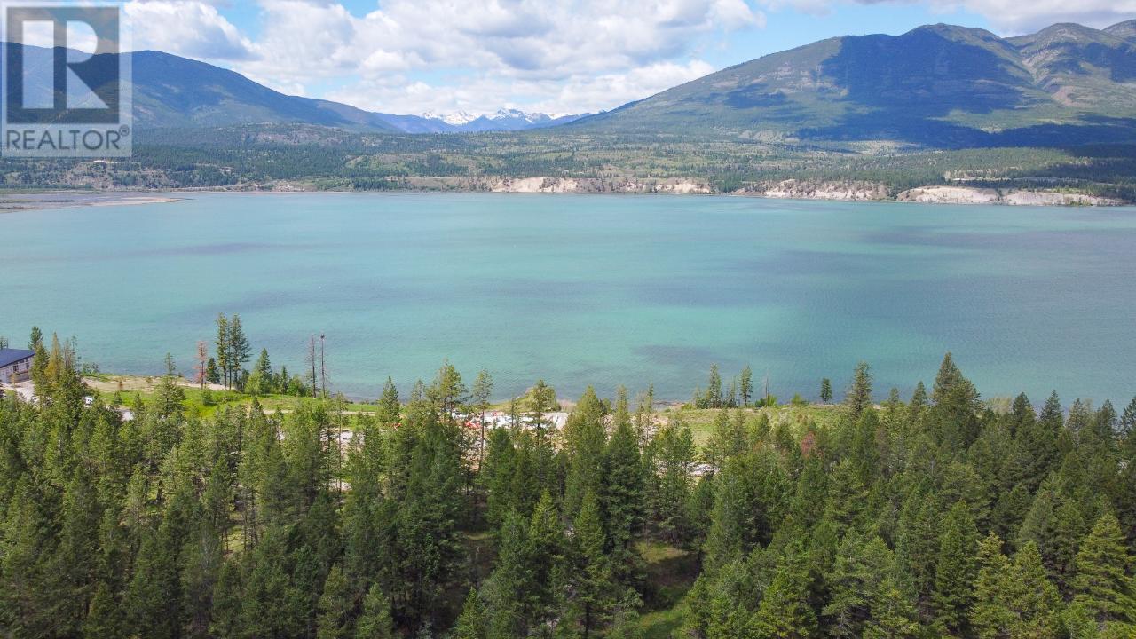 8785 Grainger Road, Canal Flats, British Columbia  V0B 1B0 - Photo 3 - 10340728
