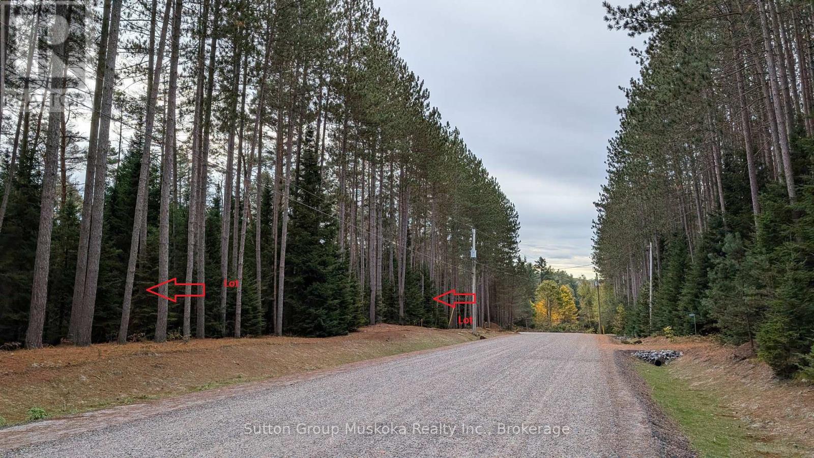 LOT 2 RED PINE TRAIL, bracebridge (macaulay), Ontario